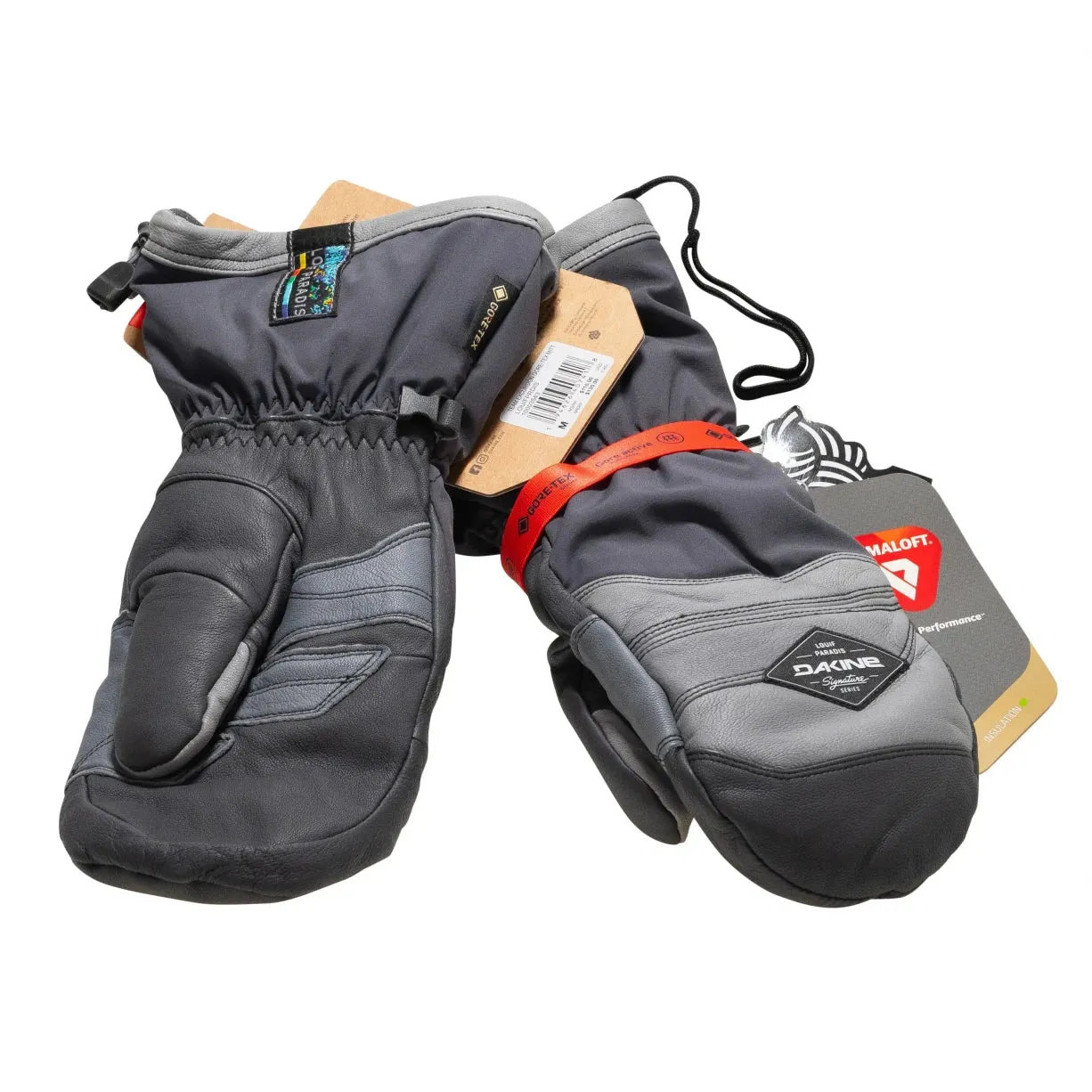 Dakine Team Excurson GoreTex Mitt